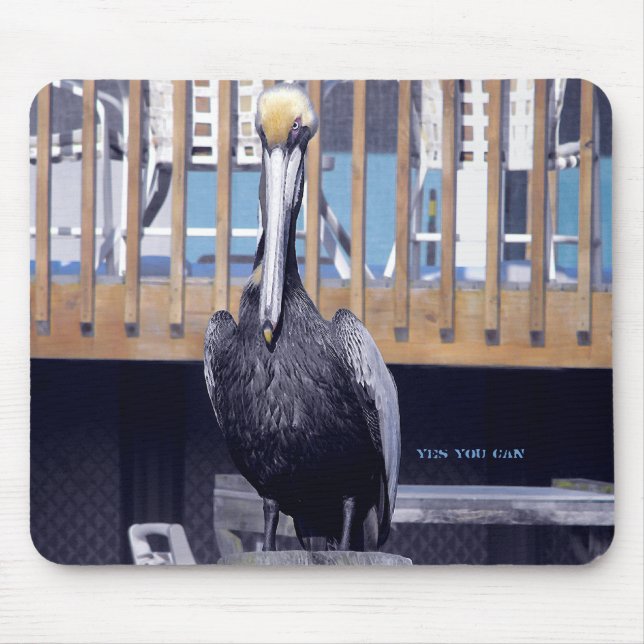 Pelican Power Musmatta (Framsidan)