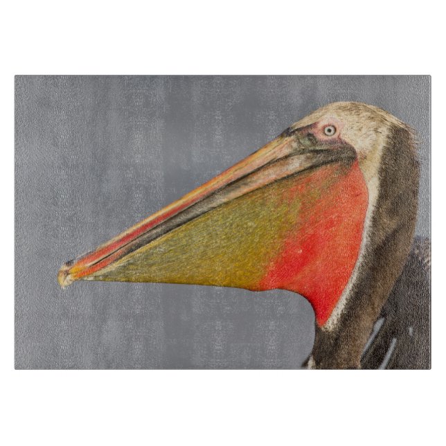 Pelican Profile (Framsidan)