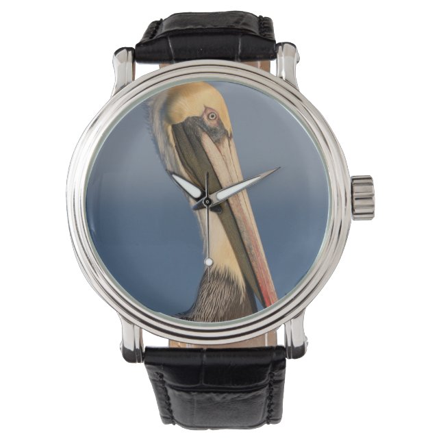 Pelican Profile Armbandsur (Framsida)