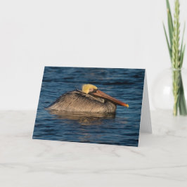 Pelican Rester i Vatten Kort