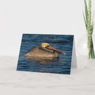 Pelican Rester i Vatten Kort