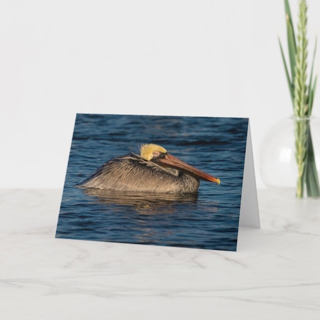 Pelican Rester i Vatten Kort (Framsida)