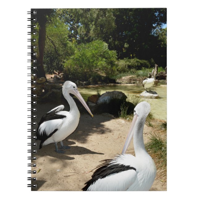 Pelican Sanctuary, bärbar dator Anteckningsbok (Framsidan)