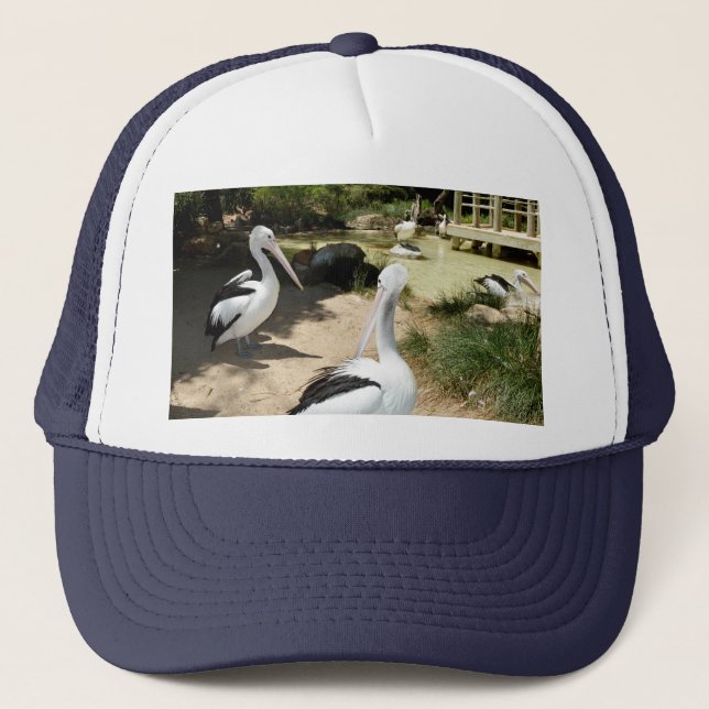 Pelican Sanctuary, Truckers Hat Keps (Framsida)