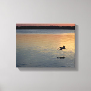 Pelican som flyger över floden vid sunset canvastryck