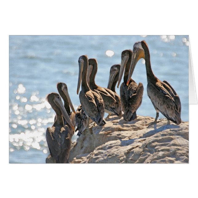 Pelican Sten Hälsningskort (Framsidan Horizontal)