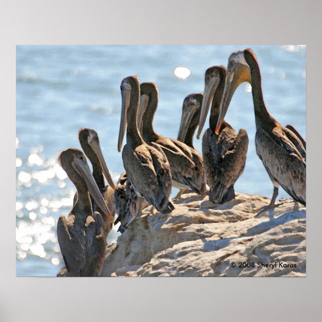 Pelican Sten Poster (Framsidan)