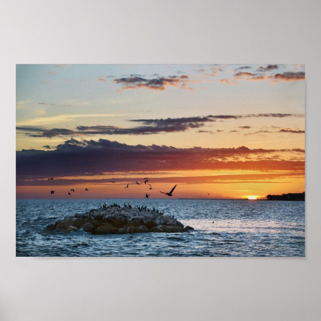 Pelican Sten Sunset, Dauphin Island, Alabama Poster (Framsidan)