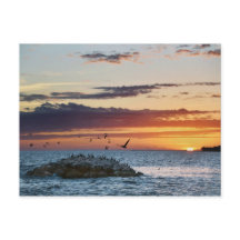 Pelican Sten Sunset, Dauphin Island, Alabama
