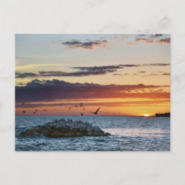 Pelican Sten Sunset, Dauphin Island, Alabama Vykort