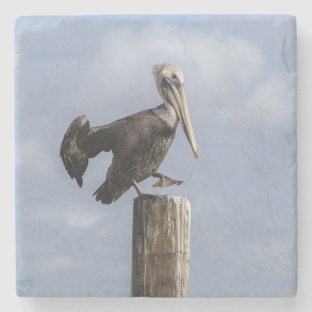 Pelican Stenunderlägg (Framsidan)