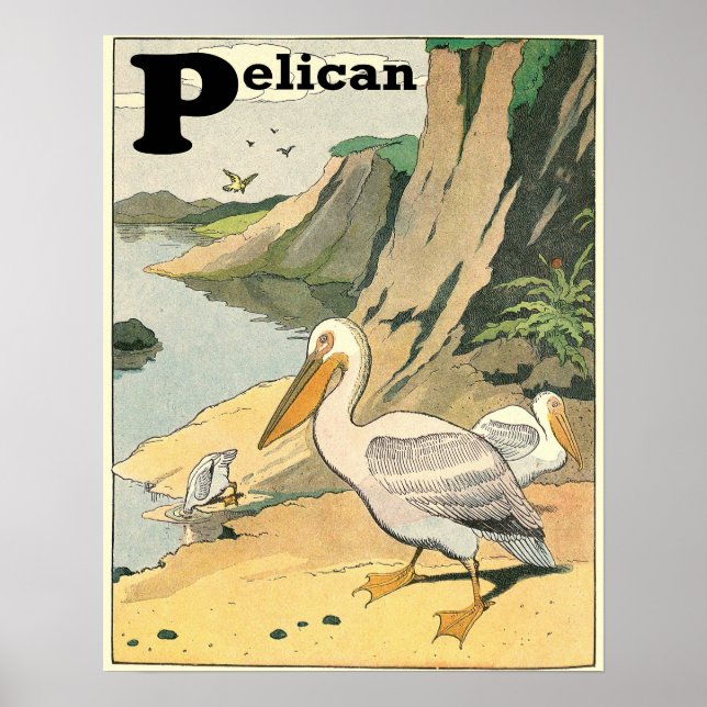 Pelican Story Bok Alphabet Poster (Framsidan)
