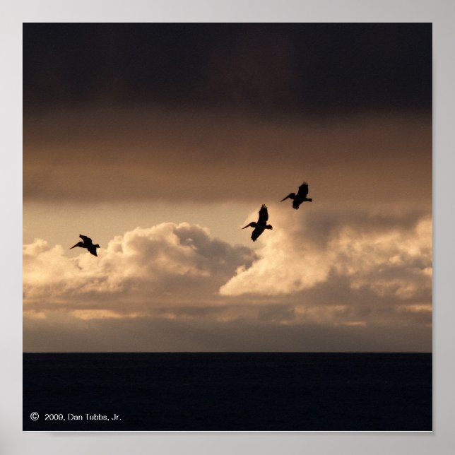 Pelican Sunset Poster (Framsidan)
