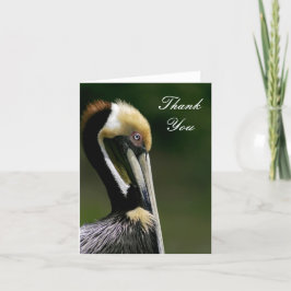 Pelican - Tack för ditt kort