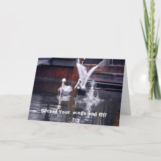 Pelican Takeoff Kort