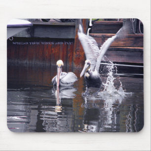 Pelican Takeoff Musmatta