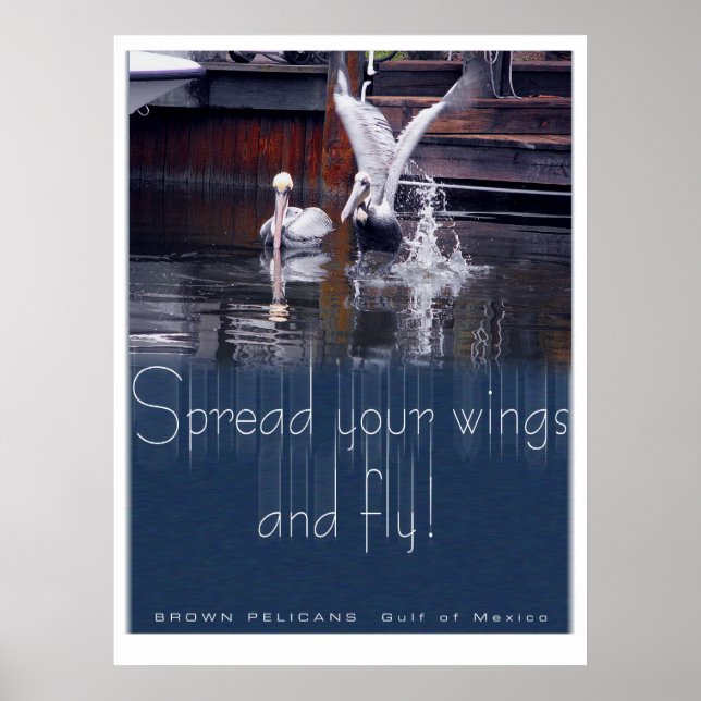 Pelican Takeoff Poster (Framsidan)