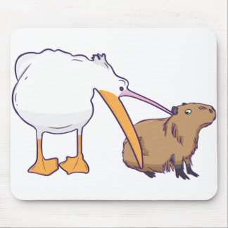 Pelican Tries to Eat Capybara Funny Cute Kawaii Musmatta