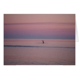 Pelican vid Sunset på Sullivans ö, SC Hälsningskort