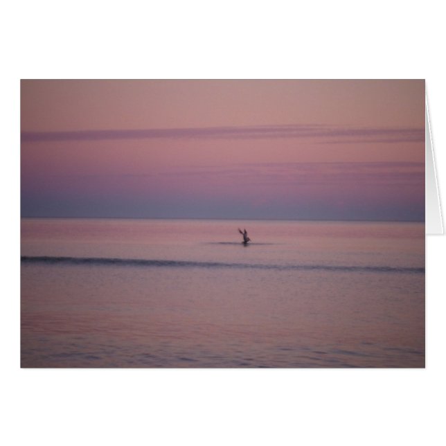 Pelican vid Sunset på Sullivans ö, SC Hälsningskort (Framsidan Horizontal)