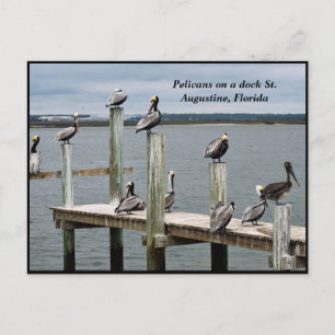 Pelican vilar på en docka helg vykort