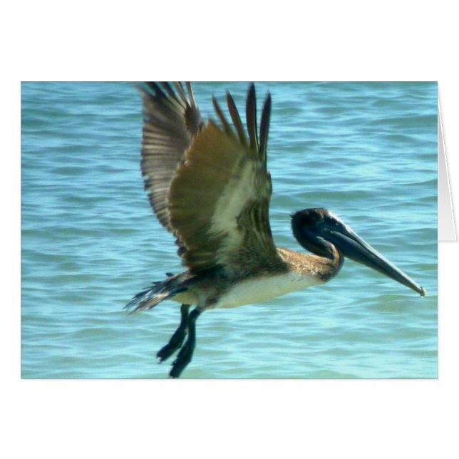 Pelican Watch OBS Kort (Framsidan Horizontal)