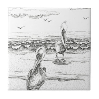 Pelican Woorim-stranden, Australien, Queensland Kakelplatta