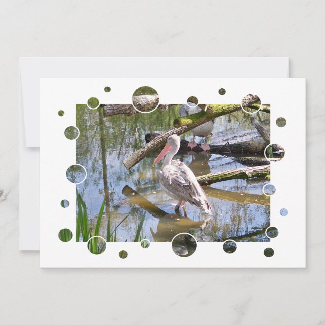 PELICANINBJUDANDEN (Framsida)