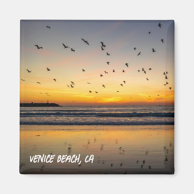 Pelicans at Sunset - Venedig Beach, CA Magnet (Framsidan)