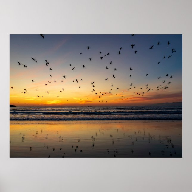 Pelicans at Sunset - Venedig Beach, CA Poster (Framsidan)