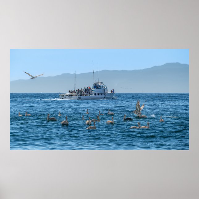 Pelicans Bing & Boat - Marina Del Rey, CA Poster (Framsidan)