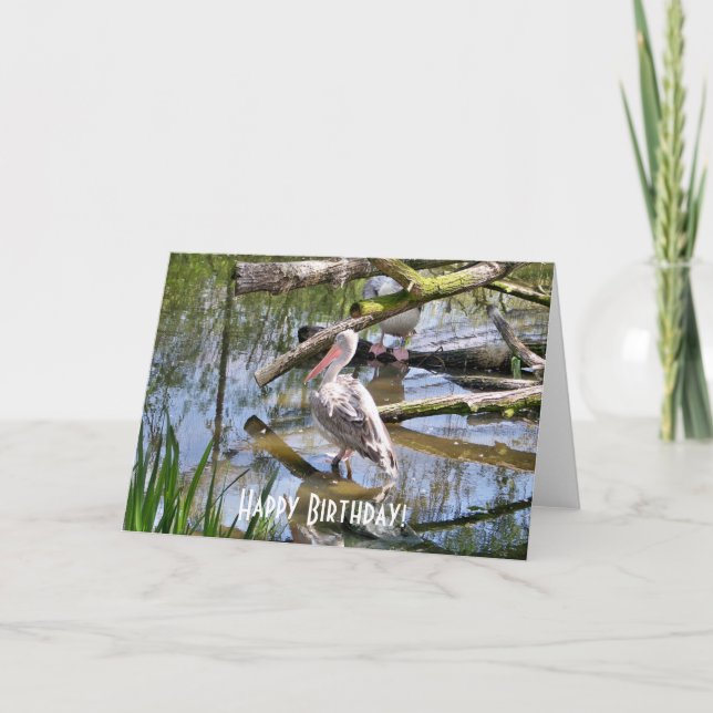 PELICANS KORT (Framsida)