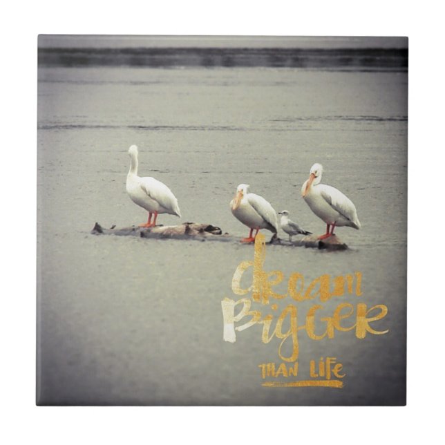 Pelicans och Fiskmås Dream Bigger Kakelplatta (Framsidan)