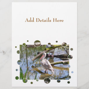 PELICANS REKLAMBLAD