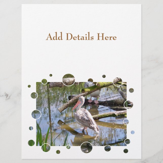 PELICANS REKLAMBLAD (Framsidan)