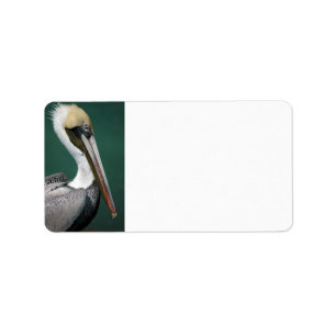 Pelikan Adressetikett