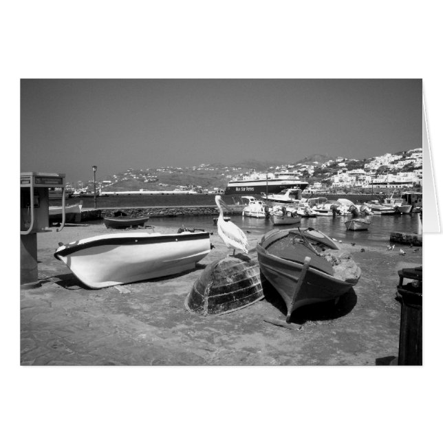 Pelikan and Boats (BandW) Hälsningskort (Framsidan Horizontal)
