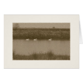 pelikan hälsningskort