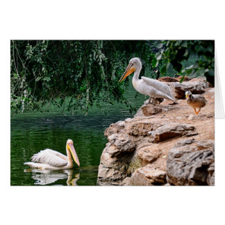 Pelikan Hälsningskort