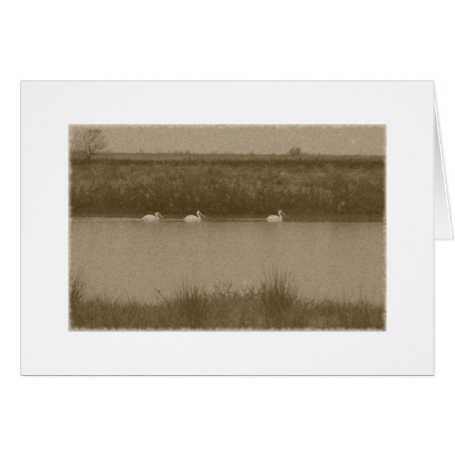 Pelikan Hälsningskort (Framsidan Horizontal)