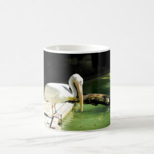 Pelikan i Spanien Kaffemugg