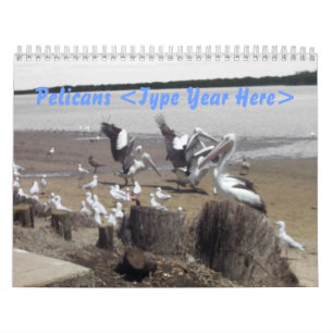 Pelikan Kalender