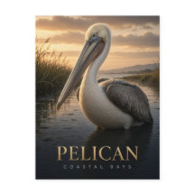 Pelikan Kustvikar Vilda djur