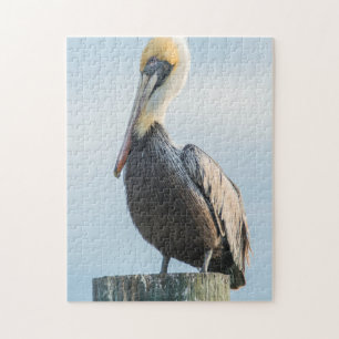 Pelikan landar på pylon pussel