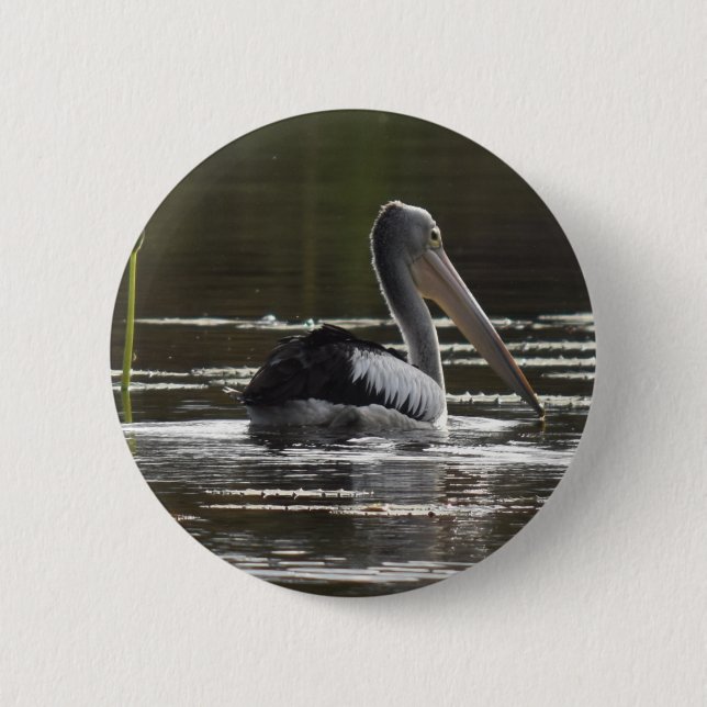 PELIKAN LANTLIGA QUEENSLAND AUSTRALIEN KNAPP (Framsida)