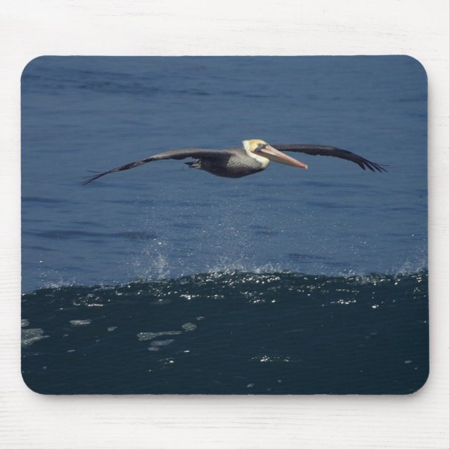 Pelikan Musmatta (Framsidan)