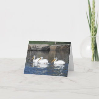Pelikan Notecards Kort