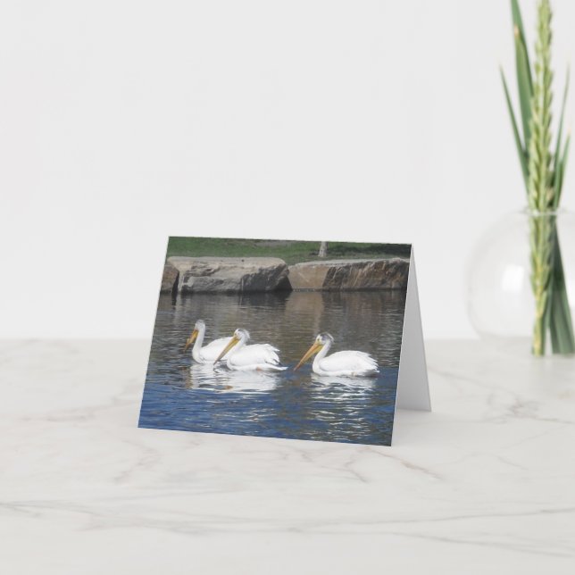 Pelikan Notecards Kort (Framsida)