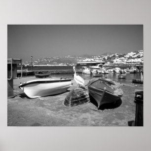 Pelikan och Boats (svartvitt) Poster