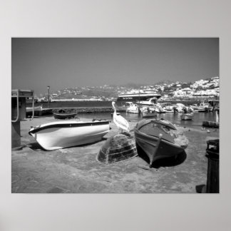 Pelikan och Boats (svartvitt) Poster